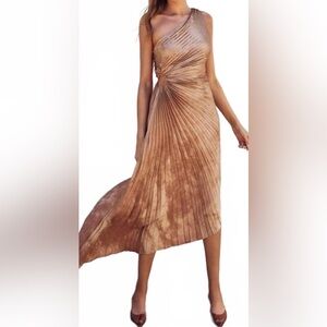 Dress Forum Bronze A-Line Pleated Dress